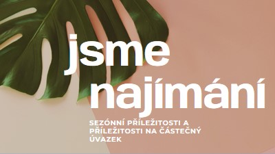 Najímáme sezónní pracovníky. pink modern-simple