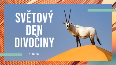 Oslava divočiny orange modern-bold