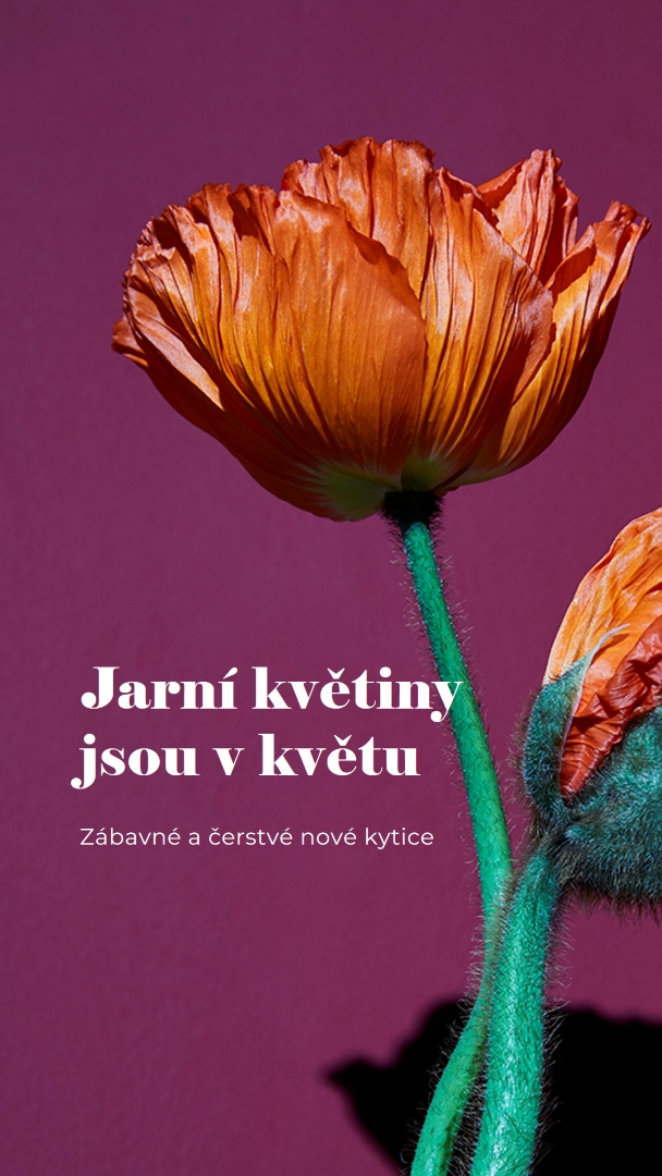 Čerstvé květiny purple modern-simple