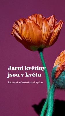 Čerstvé květiny purple modern-simple