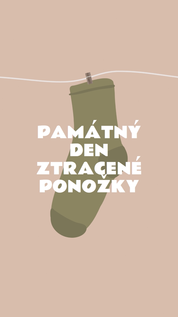 Památný den ztracené ponožky brown whimsical-color-block