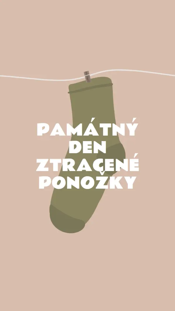 Památný den ztracené ponožky brown whimsical-color-block