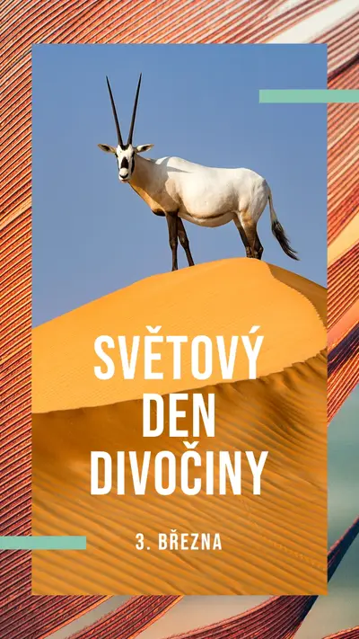 Oslava divočiny orange modern-bold