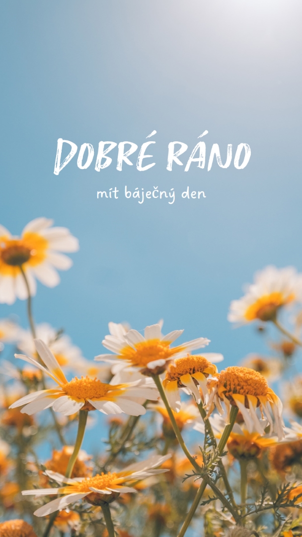 Krásný den blue modern,simple,photography,flowers,birght,fresh
