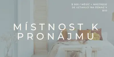 Pokoj k pronájmu gray modern-simple