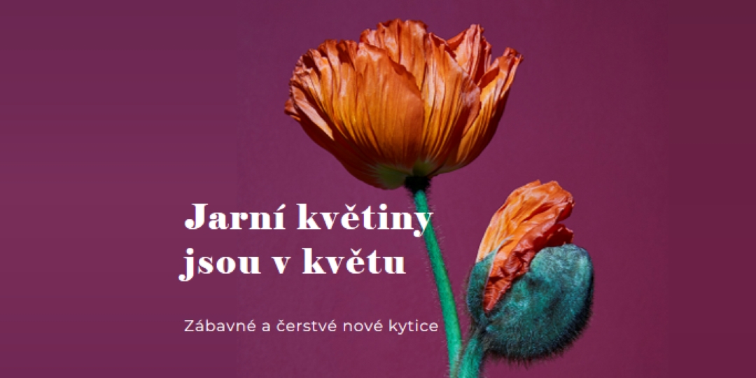 Čerstvé květiny purple modern-simple