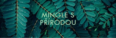 Mingle s přírodou green modern-simple