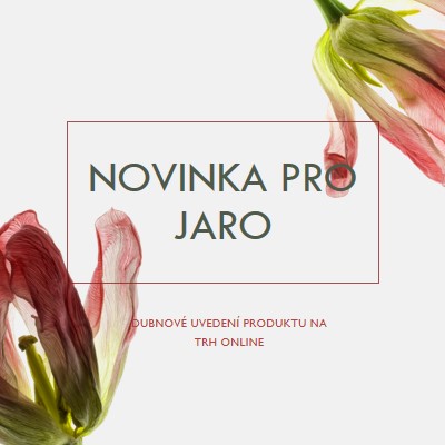 Novinka pro jaro green modern-simple