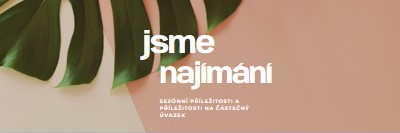 Najímáme sezónní pracovníky. pink modern-simple