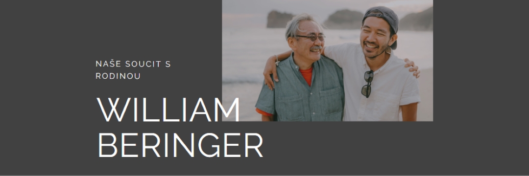 Upřímné soustranosti gray modern-simple