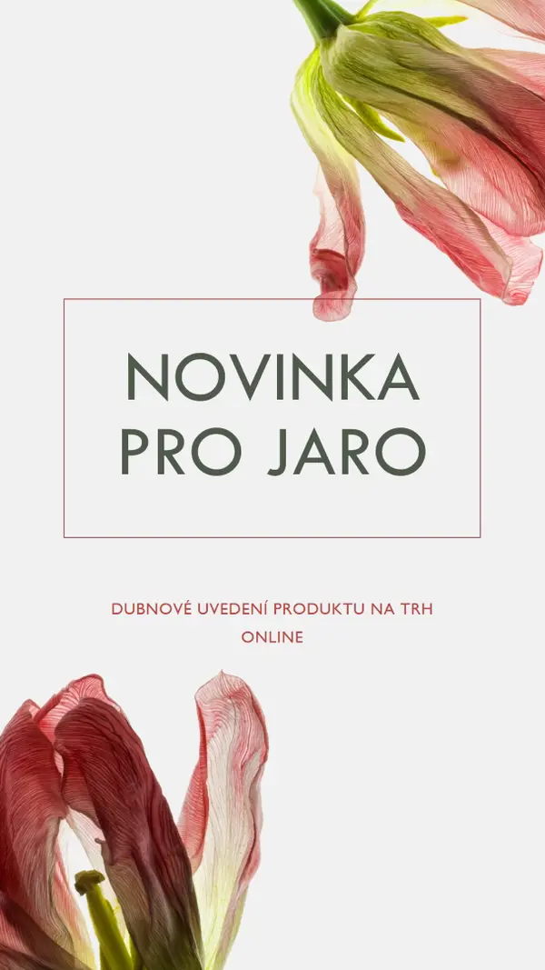 Novinka pro jaro green modern-simple
