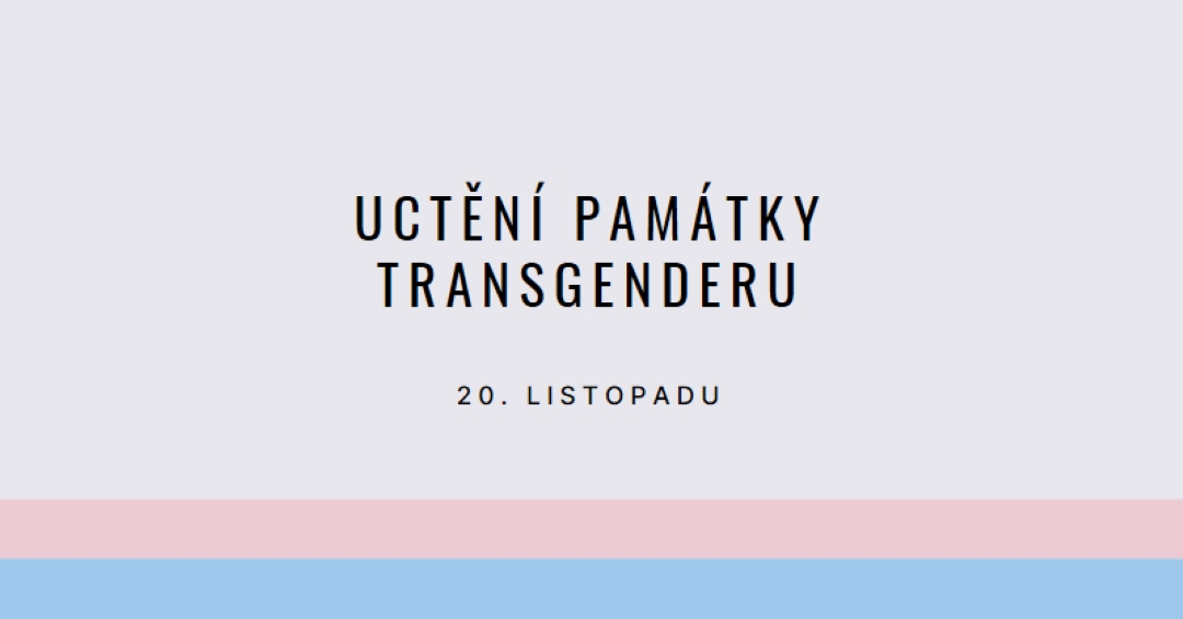 Trans životy jsou důležité gray modern-simple