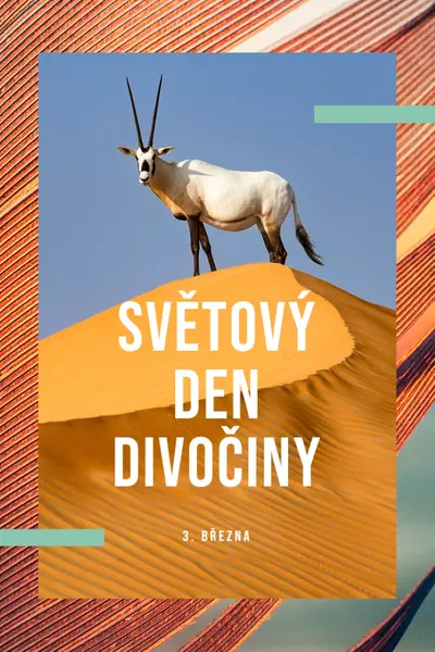 Oslava divočiny orange modern-bold