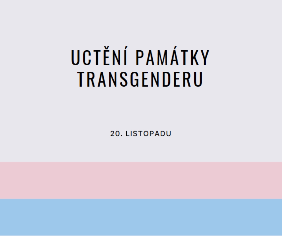 Trans životy jsou důležité gray modern-simple