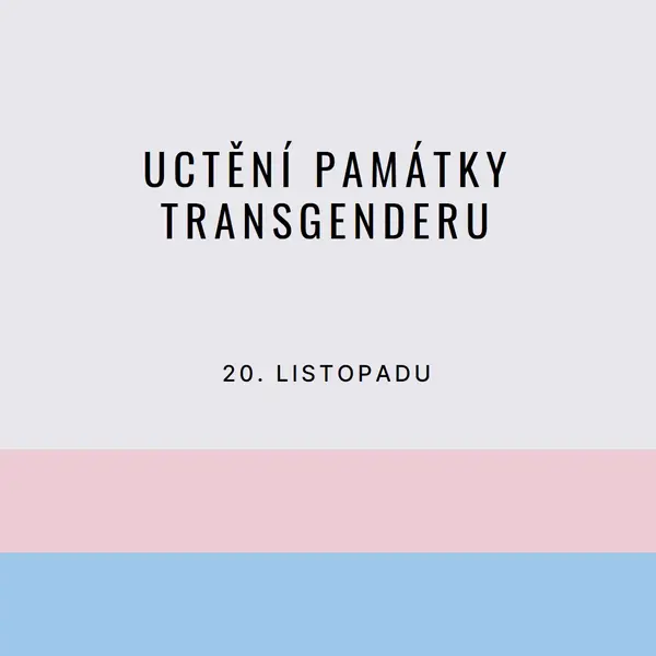 Trans životy jsou důležité gray modern-simple