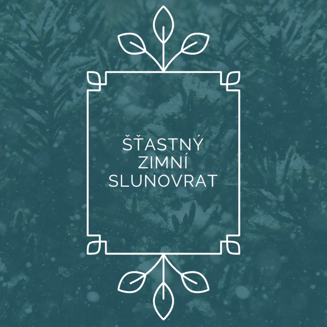 Zimní slunovrat green modern-simple