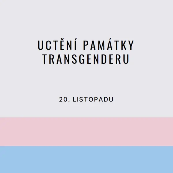 Trans životy jsou důležité gray modern-simple