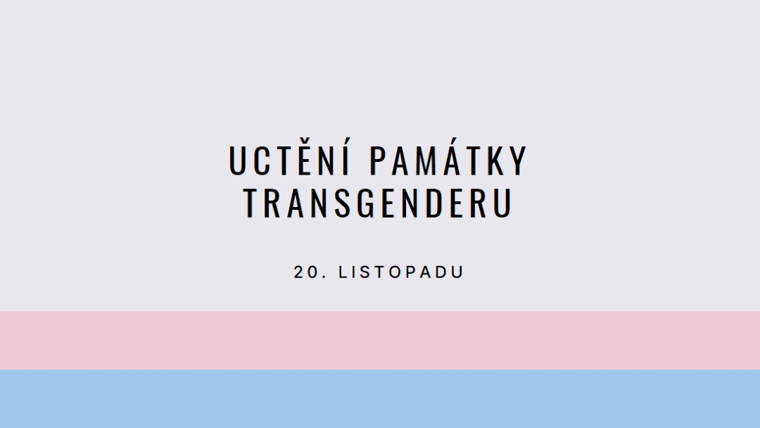 Trans životy jsou důležité gray modern-simple