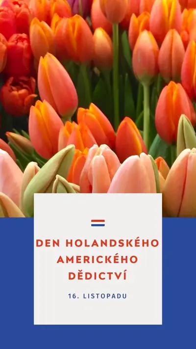 Oslava holandských kořenů orange modern-simple
