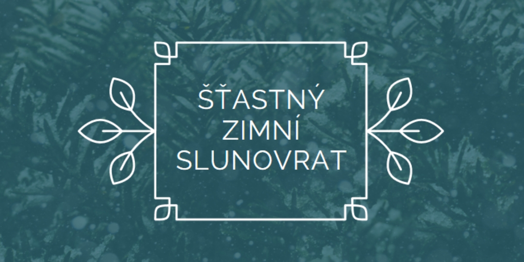 Zimní slunovrat green modern-simple