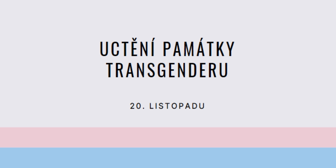 Trans životy jsou důležité gray modern-simple