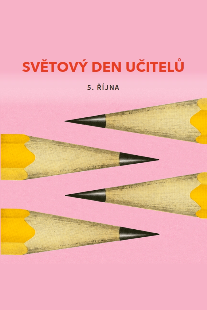 Učitelé funkcí pink modern-bold