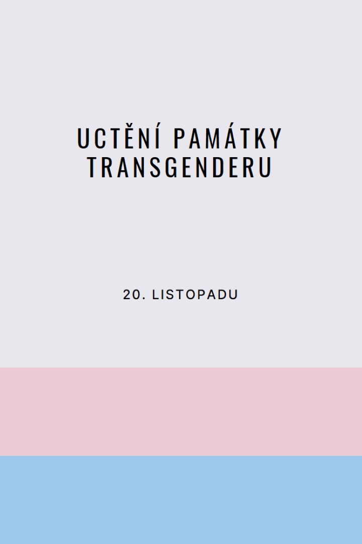 Trans životy jsou důležité gray modern-simple