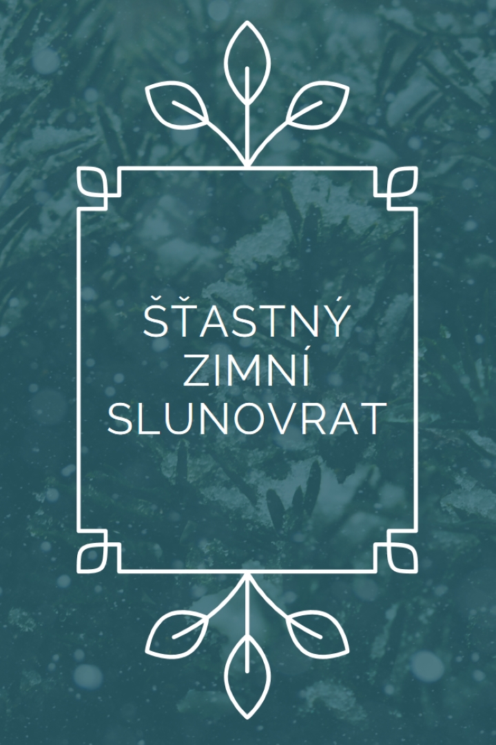 Zimní slunovrat green modern-simple