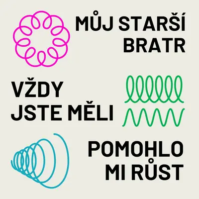 Děkuji, velký brácho. gray modern,bold,typographic