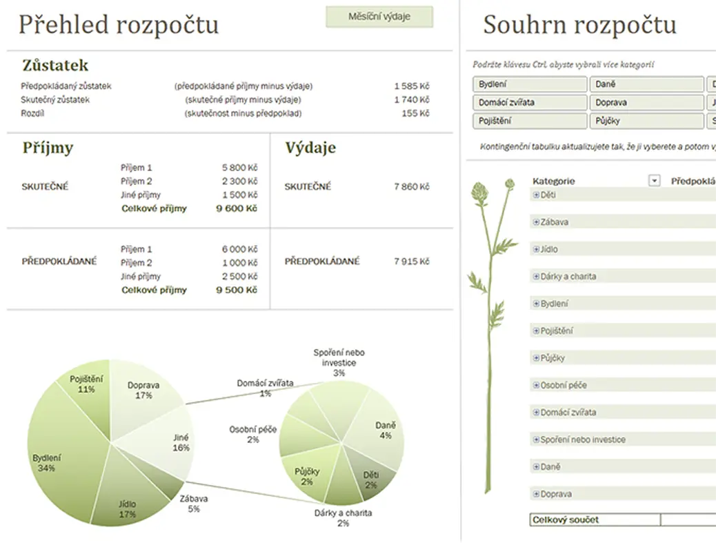 Rodinný rozpočet (měsíční) modern simple