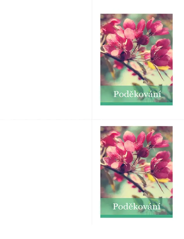 Karty s poděkováním