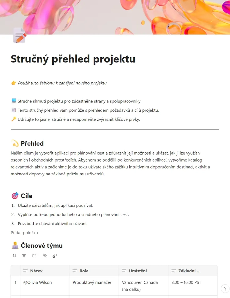 Stručný přehled projektu