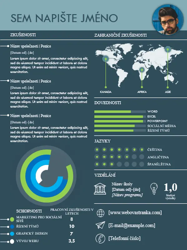 Mezinárodní profesionální životopis – infografika modern simple