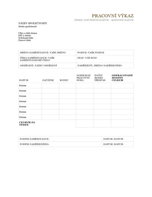 Pracovní výkaz