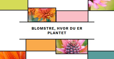 Bloom, hvor du er plantet white modern-geo-&-linear