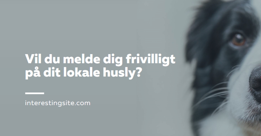 Frivillige og bringe cheer blue modern-simple