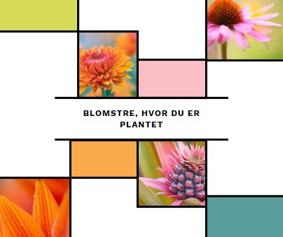 Bloom, hvor du er plantet white modern-geo-&-linear