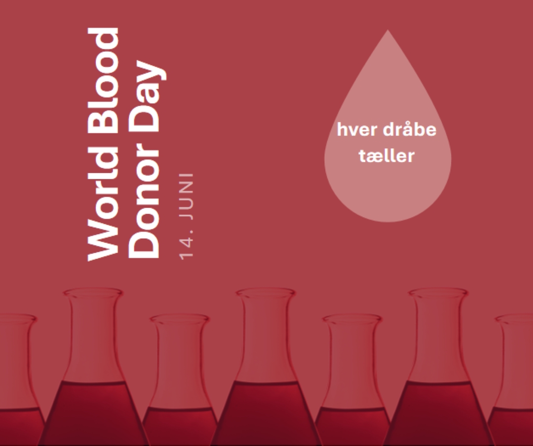 World Blood Donor Day red modern-bold