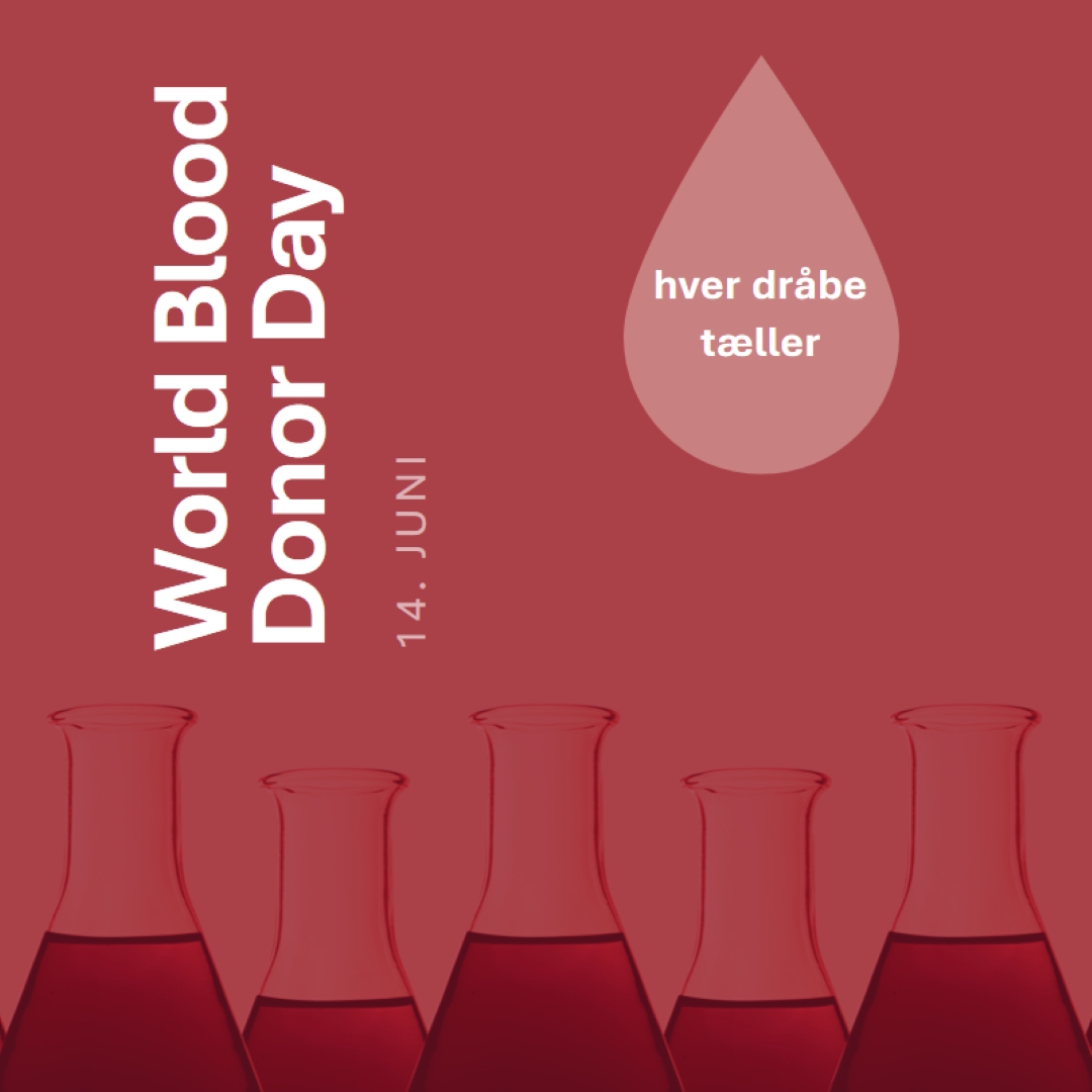 World Blood Donor Day red modern-bold