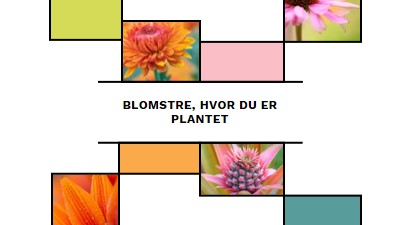 Bloom, hvor du er plantet white modern-geo-&-linear