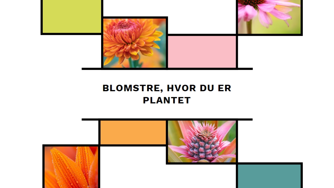 Bloom, hvor du er plantet white modern-geo-&-linear