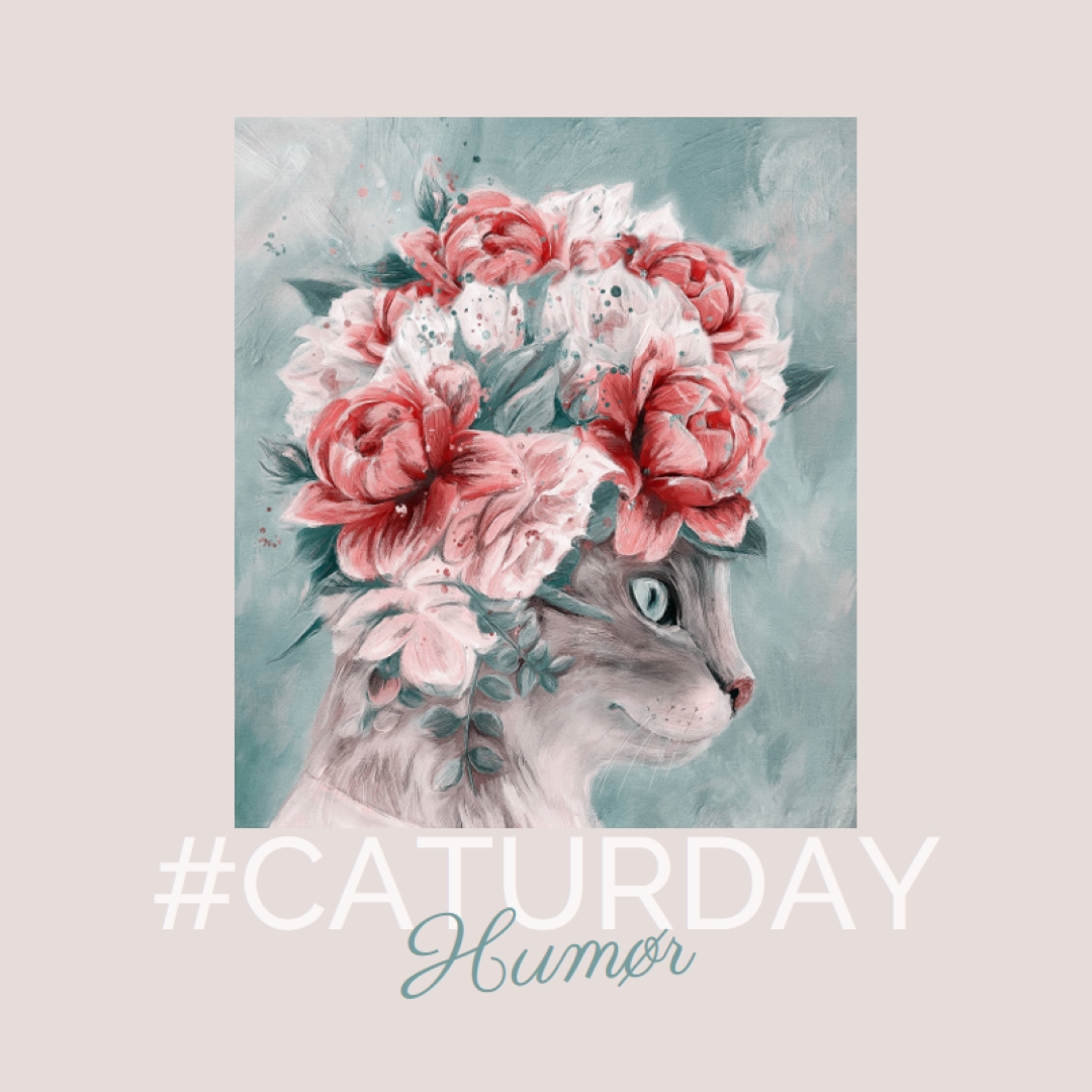 Feline følelser pink modern-simple