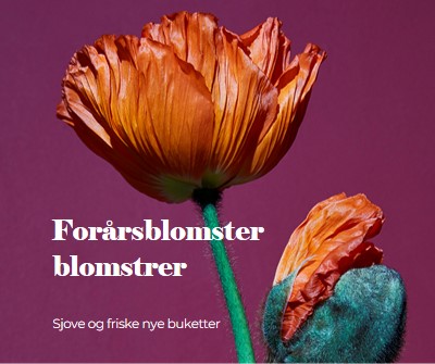 Friske blomster purple modern-simple