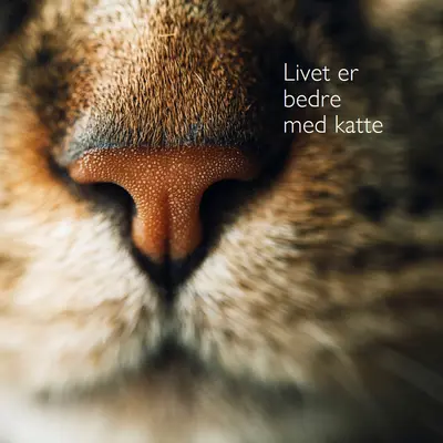 Livet er bedre med katte brown modern-simple