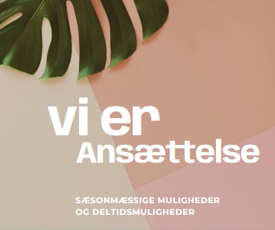 Vi ansætter sæsonarbejdere pink modern-simple