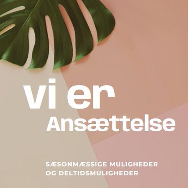 Vi ansætter sæsonarbejdere pink modern-simple