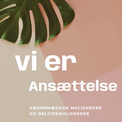 Vi ansætter sæsonarbejdere pink modern-simple