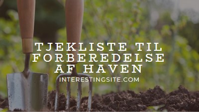 Kast i trovelen green modern-simple