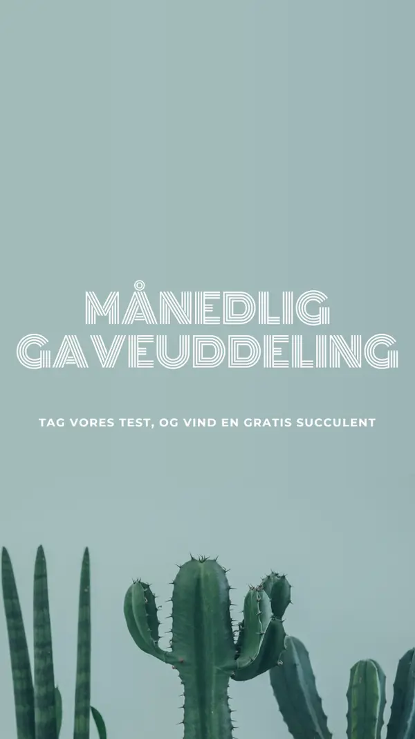 Månedlig prøveuddeling green modern-simple