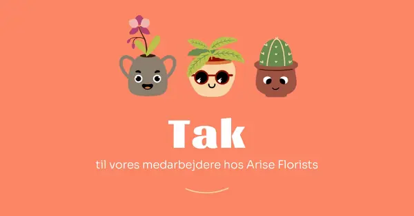 Takkekort for medarbejderne orange bright,simple,plants,cute,fun,graphic